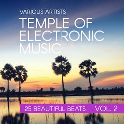 Temple Of Electronic Music (25 Beautiful Beats), Vol. 2