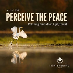 Perceive The Peace (Music For Relaxing And Mood Upliftment)