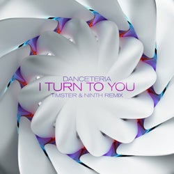 I Turn To You (Timster & Ninth Remix)
