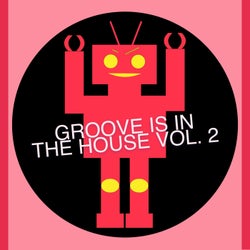 Groove Is In The House Vol. 2