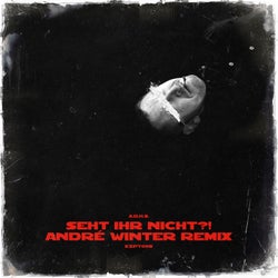 SEHT IHR NICHT?! (André Winter Remix)
