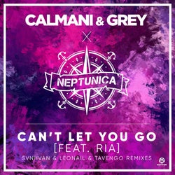 Can't Let You Go (Svniivan & Leonail & Tavengo Remixes)