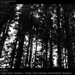 Take You Home / Take You Home (Prospekt Remix)
