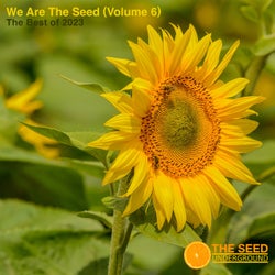 We Are The Seed (Volume 6)