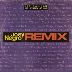 The Mystery Of Love Joey Negro Remix