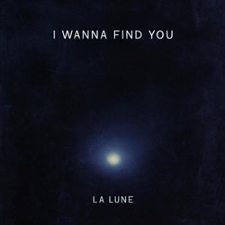 I Wanna Find You