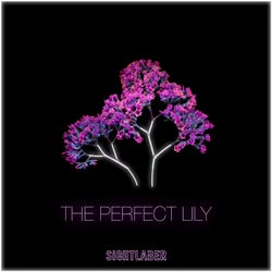 The Perfect Lily