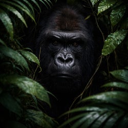 Silverback
