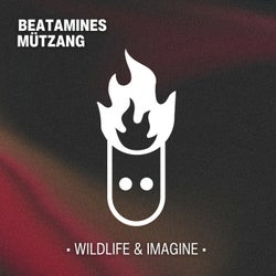 Wildlife & Imagine