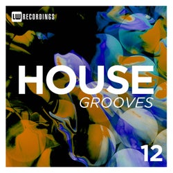 House Grooves, Vol. 12