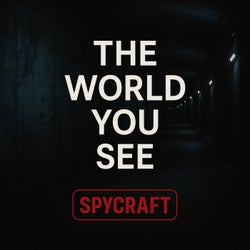 The World You See