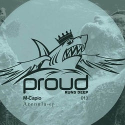 M-Capio Runs Deep Chart February