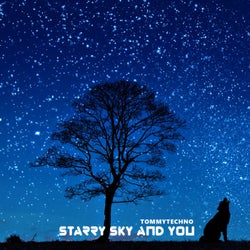 Starry Sky and You