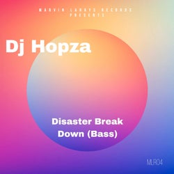 Disaster Break Down