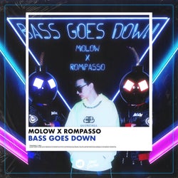 Bass Goes Down (Extended Mix)