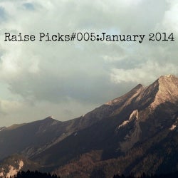 Raise Picks Podcast#005:January 2014