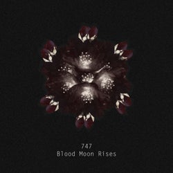 Blood Moon Rises