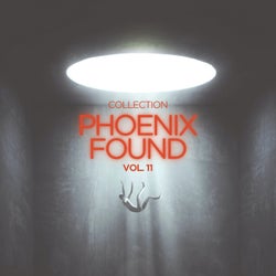 Phoenix Found Collection, Vol. 11