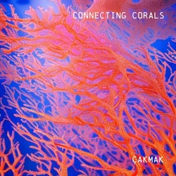 Connecting Corals