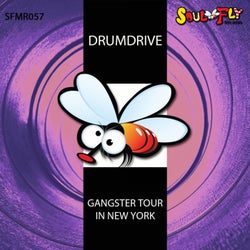 Gangster Tour In New York