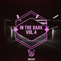 In the Dark, Vol. 4