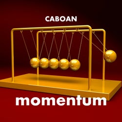 Momentum