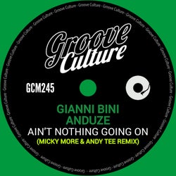 Ain't Nothing Going On (Micky More & Andy Tee Remix)