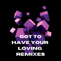 Got To Have Your Loving Remixes