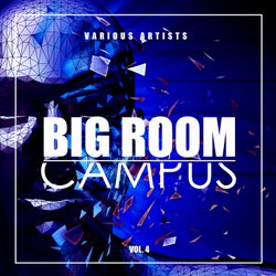 Big Room Campus, Vol. 4
