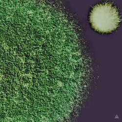 Map a Macro