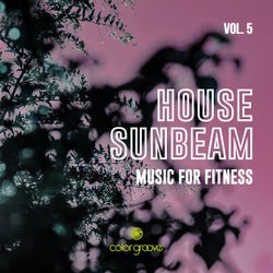 House Sunbeam, Vol. 5 (Music For Fitness)