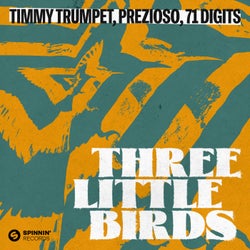 Three Little Birds (Extended Mix)