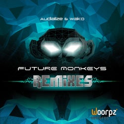Future Monkeys Remixes