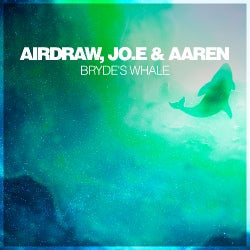 Airdraw - Bryde's Whale Chart