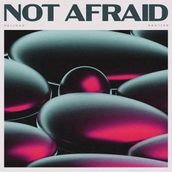 Not Afraid