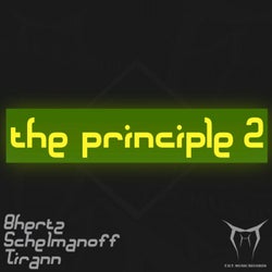 The Principle 2