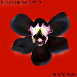 Black Orchid Pt. 2
