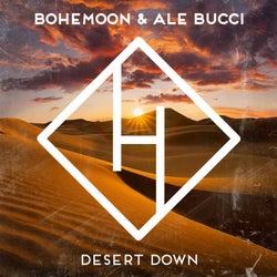 Desert Down (Extended Mix)