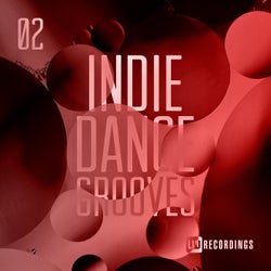 Indie Dance Grooves, Vol. 02