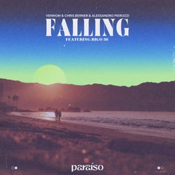 Falling (feat. Rico 56) [Extended Mix]