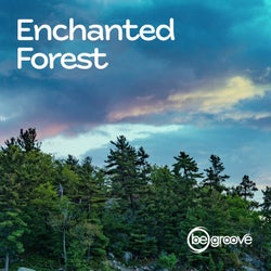 Enchanted Forest
