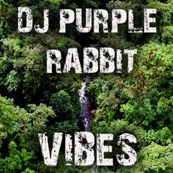 Vibes