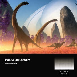 Pulse Journey