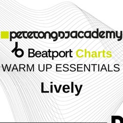 Pete Tong DJ Academy Warm Up Essentials - Pt2