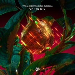 On The Mic (Extended Mix)