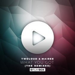 What You Got (The Remixes)