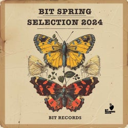BIT Spring Selection 2024