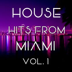 House Hits from Miami, Vol. 1
