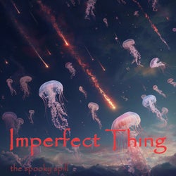 Imperfect Thing