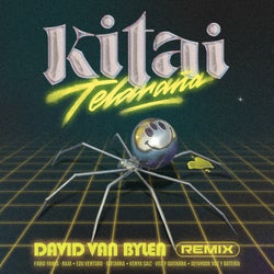 Telaraña (Remix)